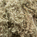 Mugwort 2 oz. image 0