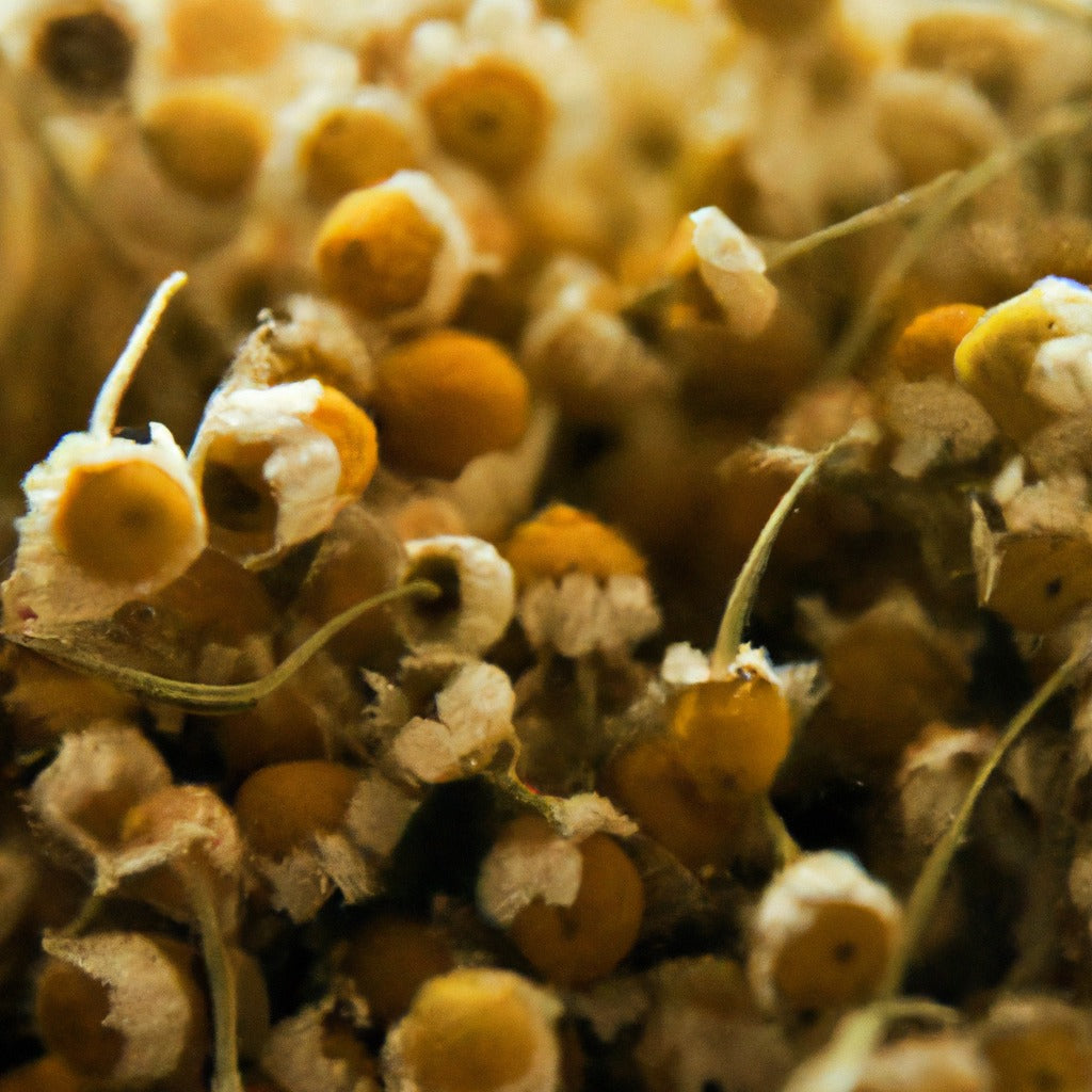 Chamomile Flower Whole 2 oz. image 0